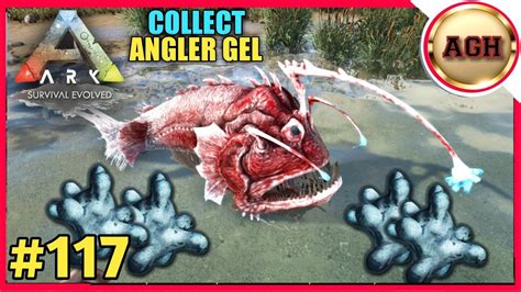 Anglergel ark - Silica Pearls are a resource in ARK: Survival Evolved. They can be found in the deepest areas of the ocean, in more shallow areas along the icy shores of the snow biome, in the Underwater Caves, in Giant Beaver Dam, and when harvesting corpses of Trilobite, Leech, Eurypterid and Ammonite. They are also obtained from Phoenix after defecation as silica …